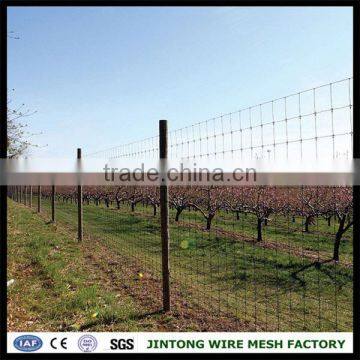 Woven Fixed Knot Fence Iron Fence Netting Mesh Direct Factory Fixed Knot Sheep Fence photo-6