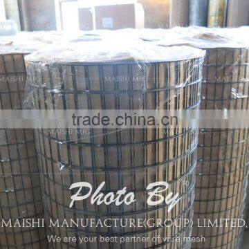 1''x1'' Galvanized Welded Wire Mesh Rolls photo-5