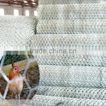 Competitive Price for Hexagonal Wire Mesh photo-4
