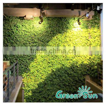 Living wall for home and office/garden decoration hydroponic systems vertical garden green wall