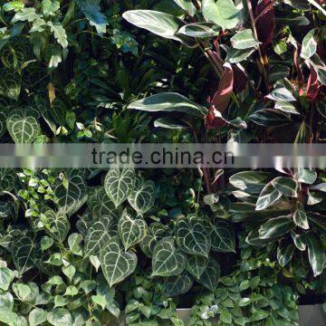 Home and Outdoor Decoration Synthetic Cheap Artificial Vertical Green Grass Wall E08 04R25 photo-4