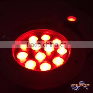 IP68 stainless steel RGB color changing underwater lighting fixture