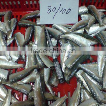 HGT Sardine