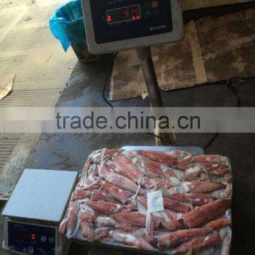 sea Frozen Loligo chinensis ,for Italy ,Greece et ,EU market