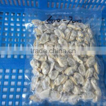 Fully Cooed Short Necked Clam Meat photo-5