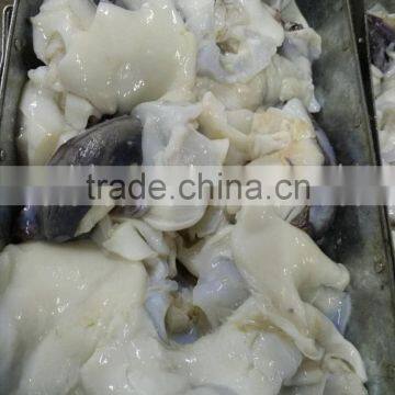 Frozen Giant Squid Neck