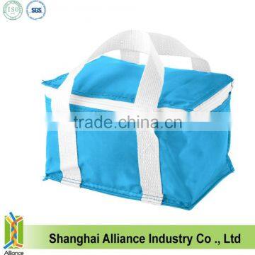 US Market Promotion Insulated Cooler Bag, Thermal Lunch Cooler Bag, Picnic Cooler Bag photo-3