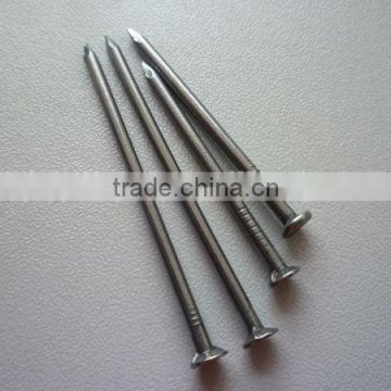 common wire nails/round wire nail/iron nail supply