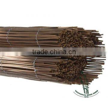 Natural Fern Fence photo-6