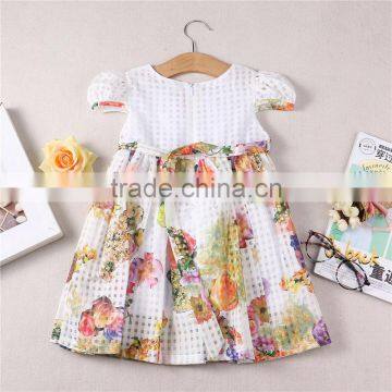 Wholesale Summer Short Sleeve Princess Dress Baby Girl Dress Clothes photo-2