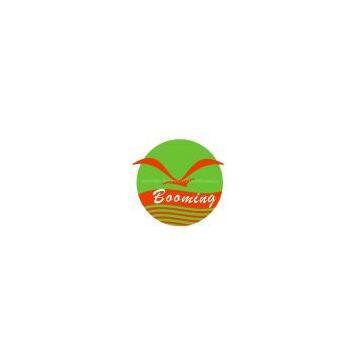 BOOMING TECHNOLOGY LIMITED