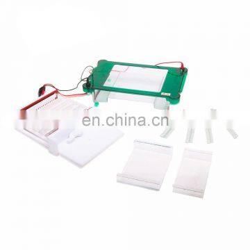 horizontal gel electrophoresis chamber hemoglobin electrophoresis