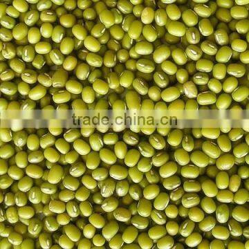 Organic Green Mung Bean photo-2
