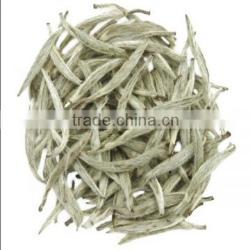 Best White Tea Brands Organic White Tea Silver Needle