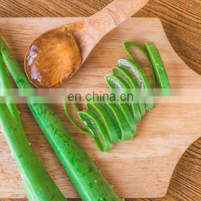 Aloe Vera Chunk From Vietnam