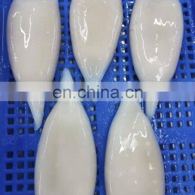 Good Price Frozen Squid Tube Skinless Tip on photo-5