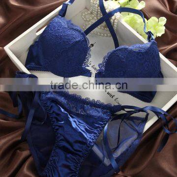 C23334B Wholesale Women Fashion Lace Bra Sets photo-5