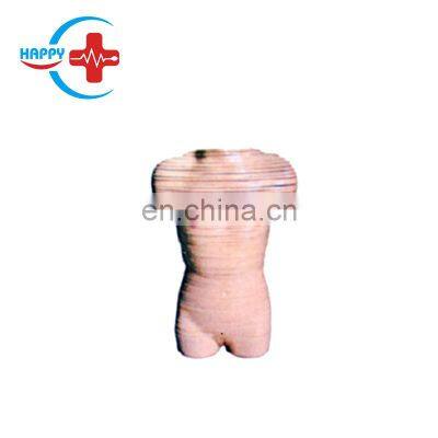 HC-S276 Female Section anatomy torso model/Medical Science Human Torso Model