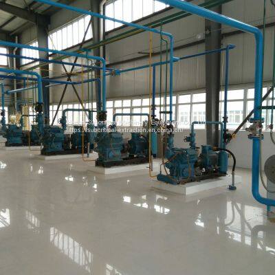 Wheat Germ Oil Processing Equipment Subcritical Extraction Equipment and Refining Equipment photo-5