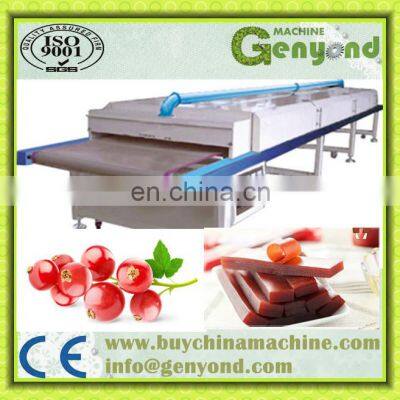 Small Scale Fruit Leather Production Line photo-5