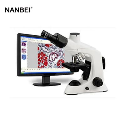 Lab biological 1600x brinocular microscope digital