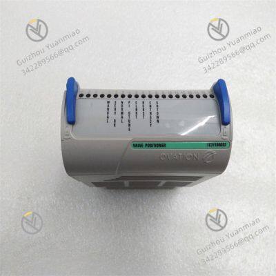1C31194G02 EMERSON Valve positioner module