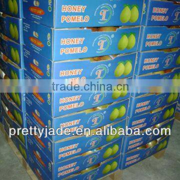 china fresh honey pomelo