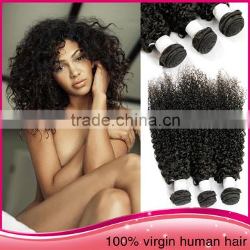 Factory Direct Selling Virgin Brazilian Jerry Curl Hair Weave Burgundy Brazilian Hair Weave Bundle Virgin Brazilian Hair