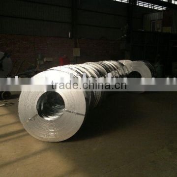 Galvanized Cold Rolled Strip