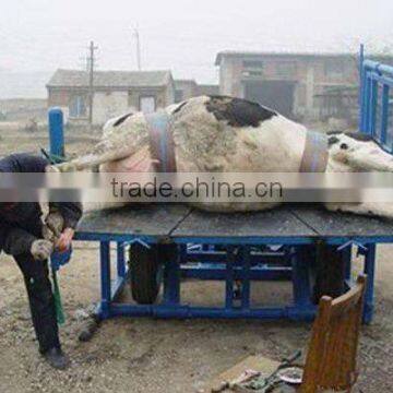 Cow Hoof Repair Fixed Machine