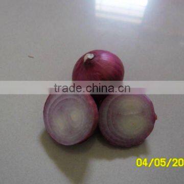 Small Red Onion