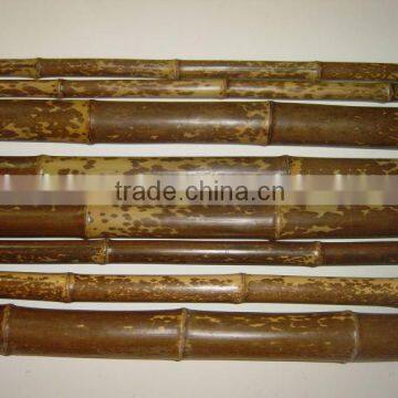 Speckled bamboo Pole Sun-003