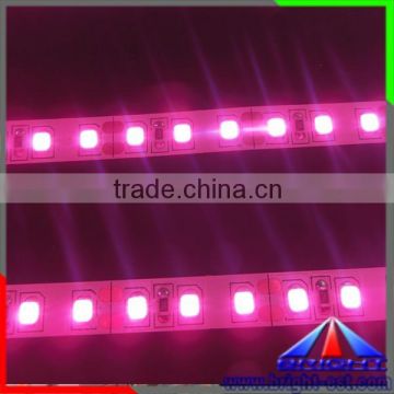 CE & RoHS Certified R/G/B/W/Y LED Rigid Strips SMD2835 60LEDs with Aluminium bar