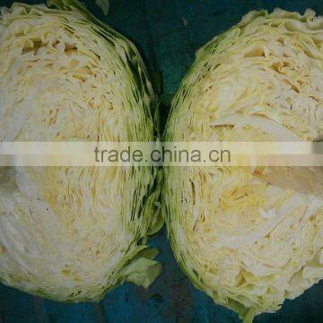 Fresh round cabbage