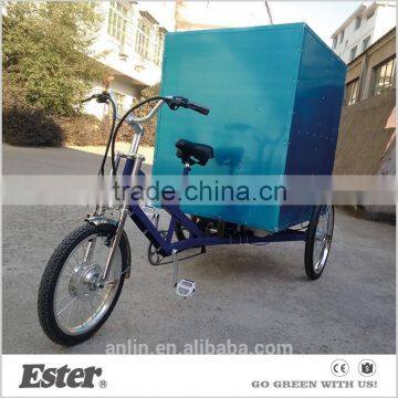 ESTER 500W rear motor Electric decorative Cargo Trike