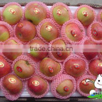 New crop red gala/hot sale red Gala apple/Gala apple