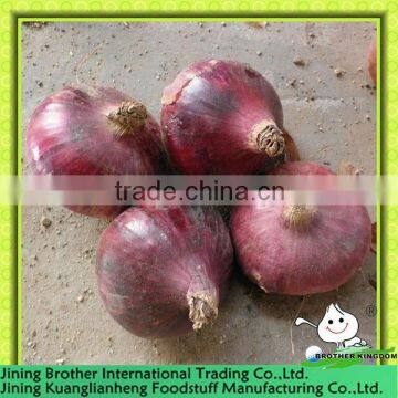 big red onion from China