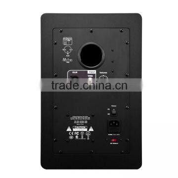 8" Monitor Speaker photo-5