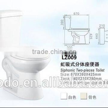 Two piece toilet for bathroom