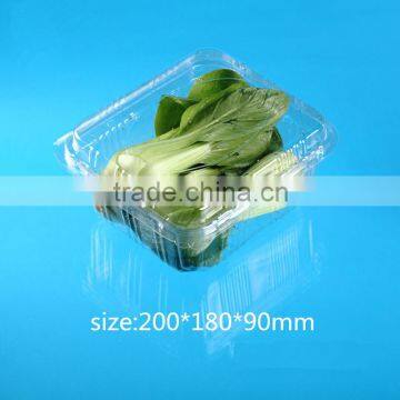 PET plastic transparent VEGETABLE AND FRUIT packaging box with lid
