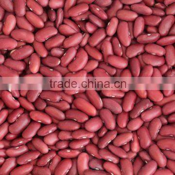 Round Red and White Speckled Kidney Beans