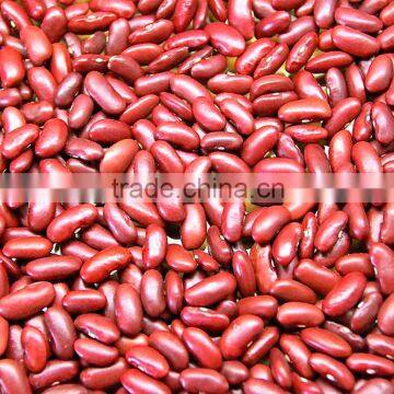 LIGHT RED KIDNEY BEANS