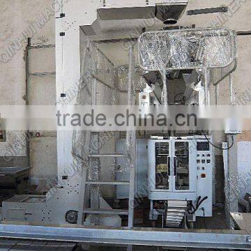 10 Head Automatic Weighting and Vertical Packing Machine