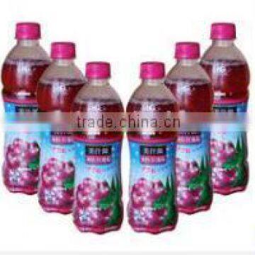 Juice filling machine/Mango juice production line/ Hot filling machine for tea/juice