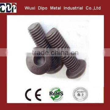 Black Hexagon Oval Head Screw/Hexagon Dome Head Screw