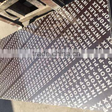 18mm shuttering plywood /black film laminated plywood for construction