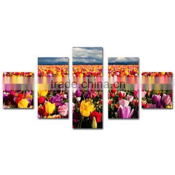 Tulip flower field photo canvas prints for home decor