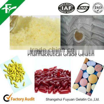 GELATINA 220 BLOOM/30 MALLA photo-3