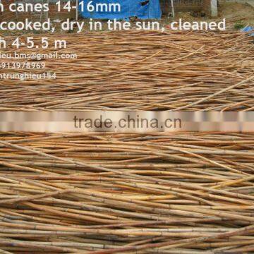 Rattan cane dry in the sun 8-16mm