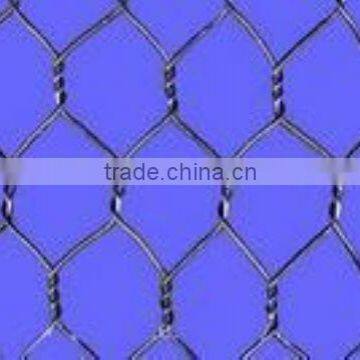 Chicken Wire Mesh